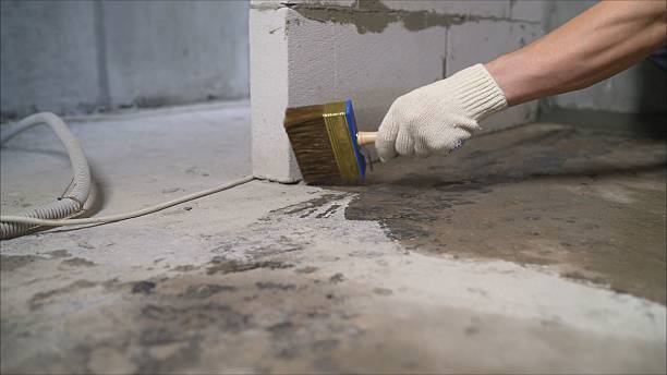 Top rated local Waterproofing specialists in Nokesville, VA